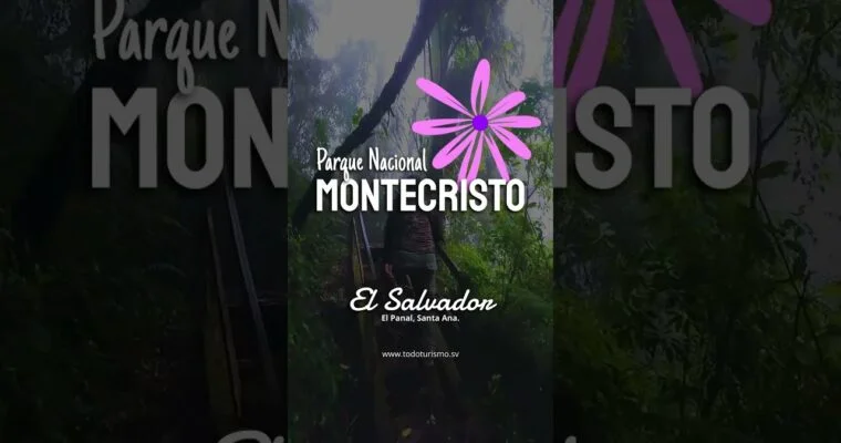 Descubre la belleza natural del Parque Nacional Montecristo en El Salvador